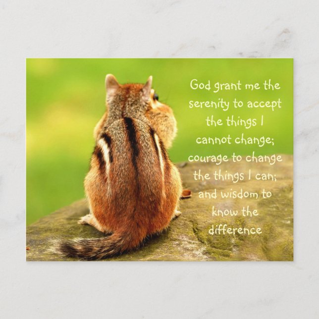 Little Chipmunk Serenity Gebet Postcard Postkarte (Vorderseite)