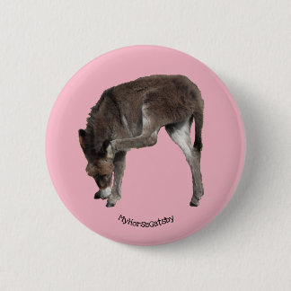 Little Chocolate Donkey Foal Scratching Ohr Button