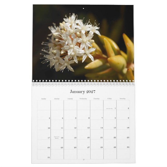 Little Critters Calendar (Mittel) Kalender (Jan 2027)