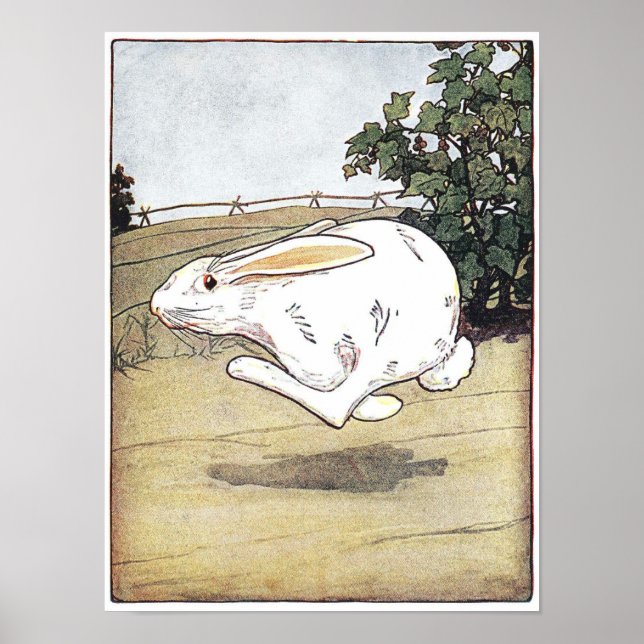 Little Critters Children's Book Illustration Poste Poster (Vorne)