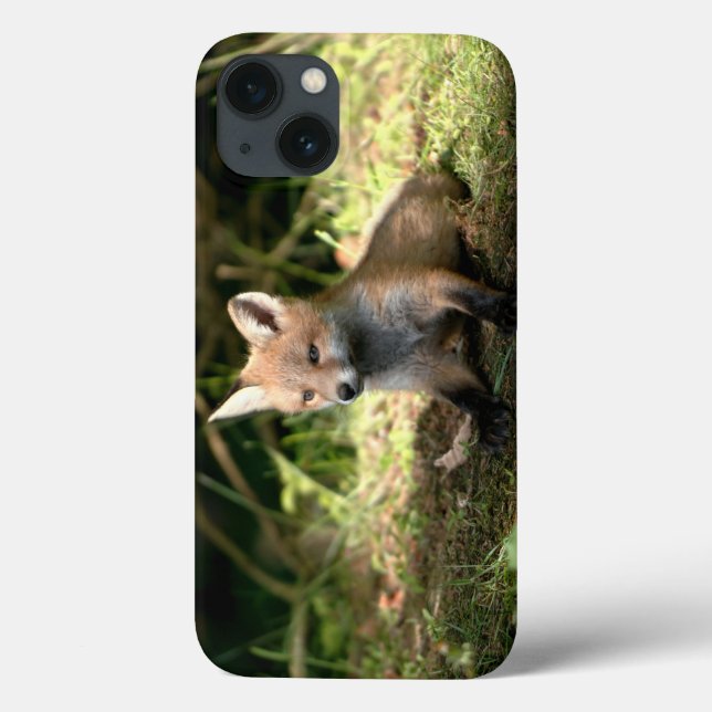 Little Cub Red Fox Case-Mate iPhone Hülle (Rückseite)