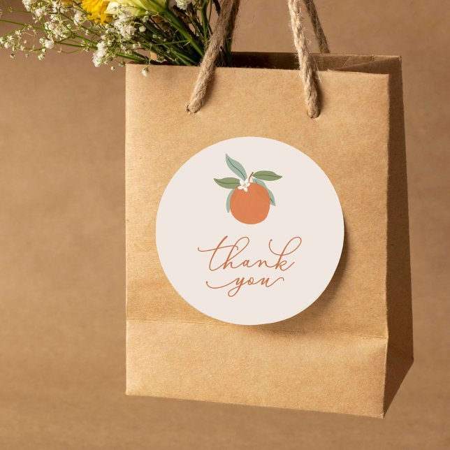 Little Cutie Citrus Oranges Thank You Runder Aufkleber (citrus oranges thank you sticker)