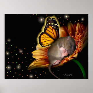 Little Daisy Dreamer Poster