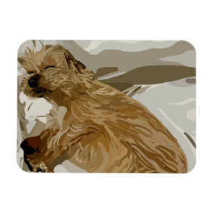 Little Daisy Hund Magnet