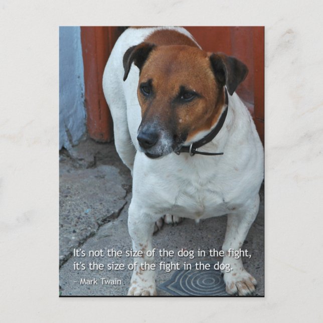 Little Dog Big Heart Postkarte (Vorderseite)