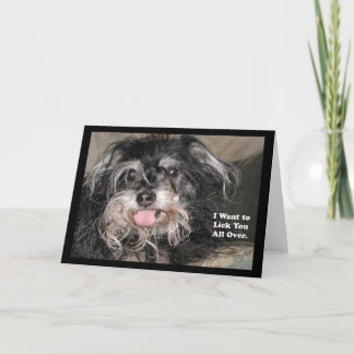 "Little Dog Joey: 'I want to lick you all over'" Karte