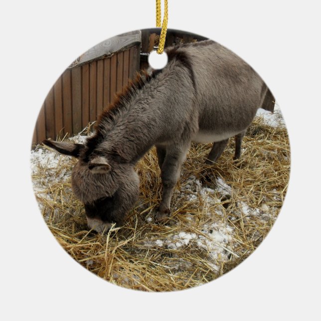 Little Donkey Christmas Keramik Ornament (Vorne)
