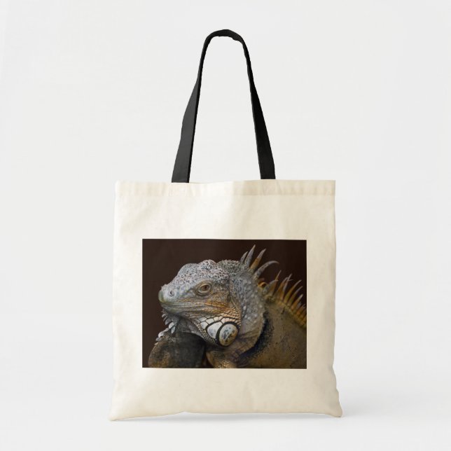 Little Dragon Bag Tragetasche (Vorne)