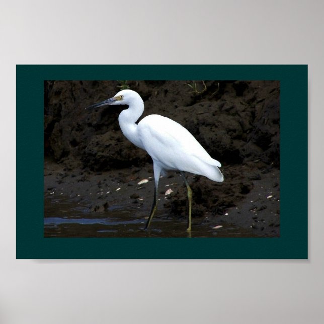 Little Egret Print Poster (Vorne)