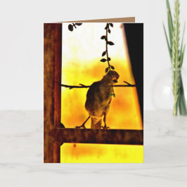 Little Finch Karte