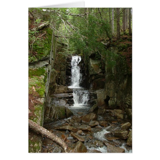 Little Flume Card (Vorne)