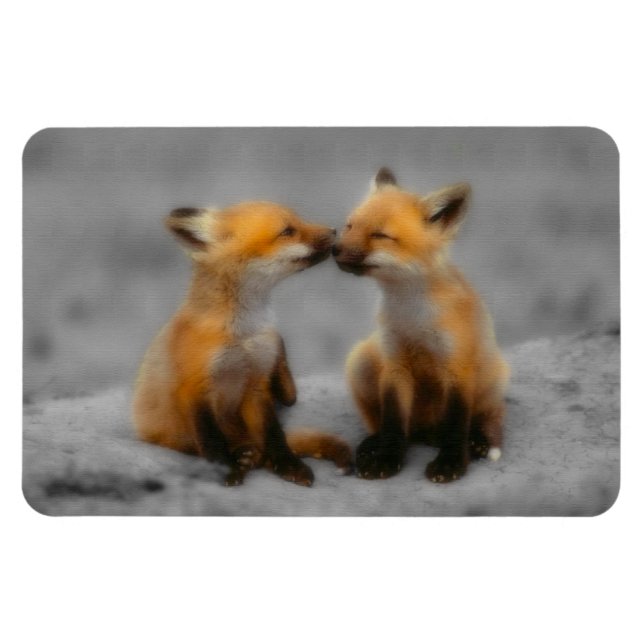 Little Fox Liebe Magnet (Horizontal)