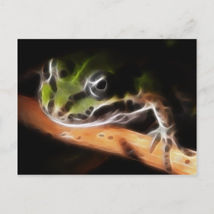 Little Frog Postcard Postkarte