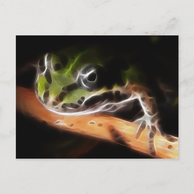 Little Frog Postcard Postkarte (Vorderseite)