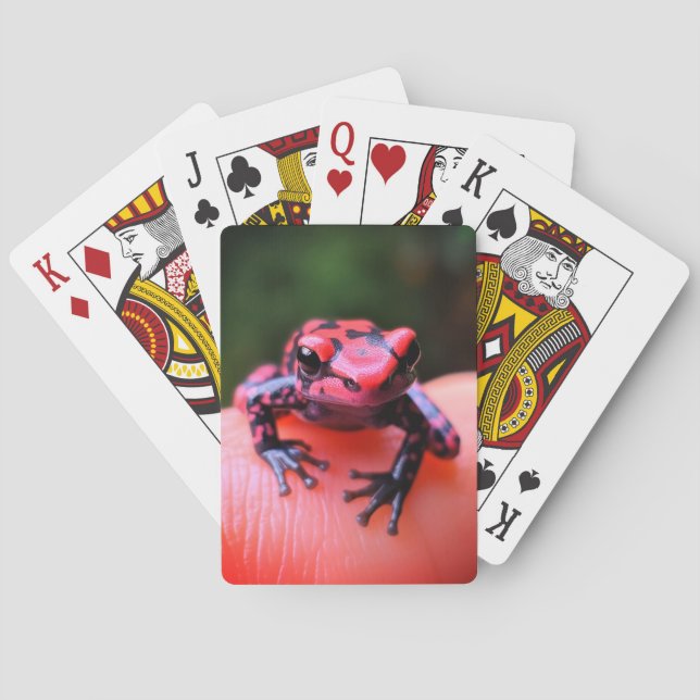 Little Frog Spielkarten (Rückseite)
