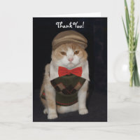 Little Gentleman Cat in Raute Sweater Vielen Dank