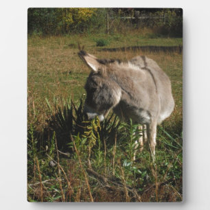 Little Grey Donkey w/Wildblumen Fotoplatte