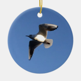 Little Gull Keramikornament
