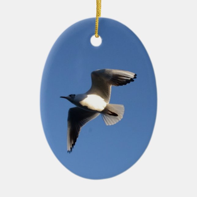 Little Gull Keramikornament (Vorne)