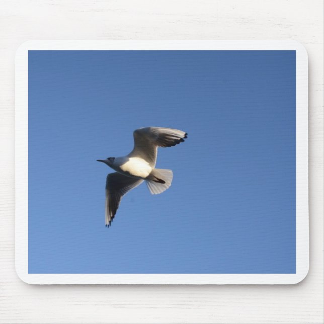Little Gull Mousepad (Vorne)