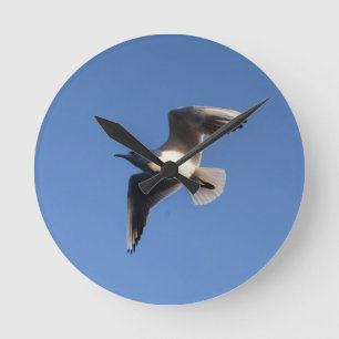 Little Gull Runde Wanduhr