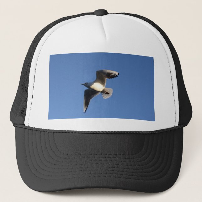 Little Gull Truckerkappe (Vorderseite)