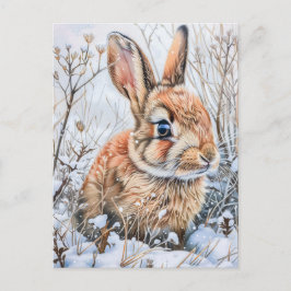 Little Hare in Snowy Field. Rabbit Bunny Postkarte