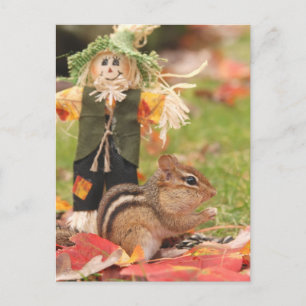 Little Harvest Chipmunk Postkarte