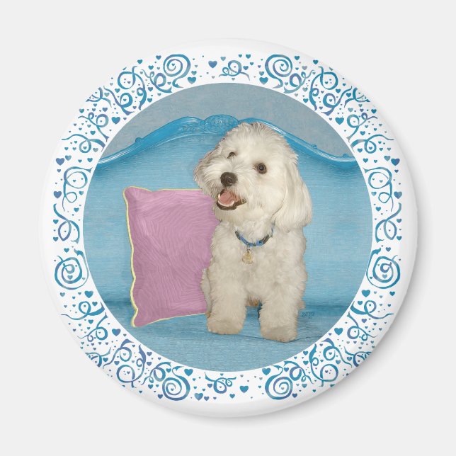 Little Havanese auf Türkis Sofa Magnet (Vorne)