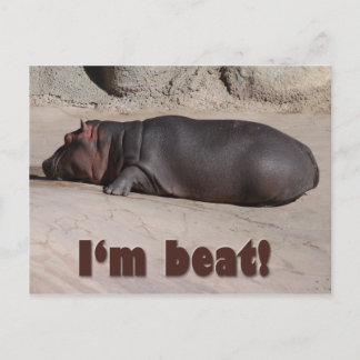 Little Hippo erzählt alle Postkarte