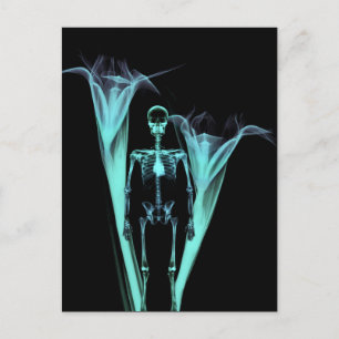 Little Human X-Ray Skeleton & Blume - Aquamarin Postkarte