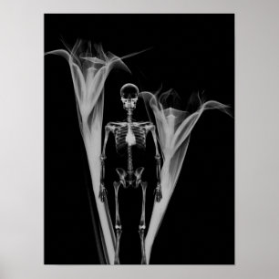 Little Human X-Ray Skeleton & Blume - B&W Poster