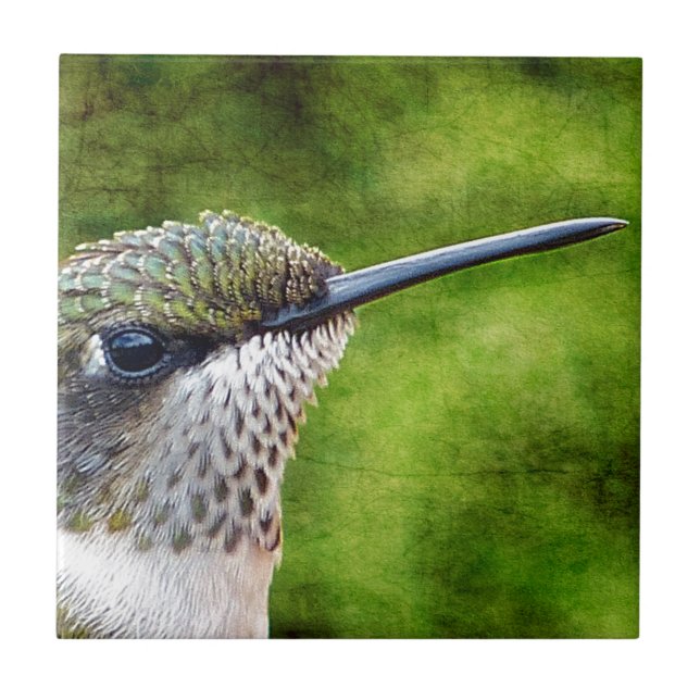 Little Hummer Fliese (Vorderseite)