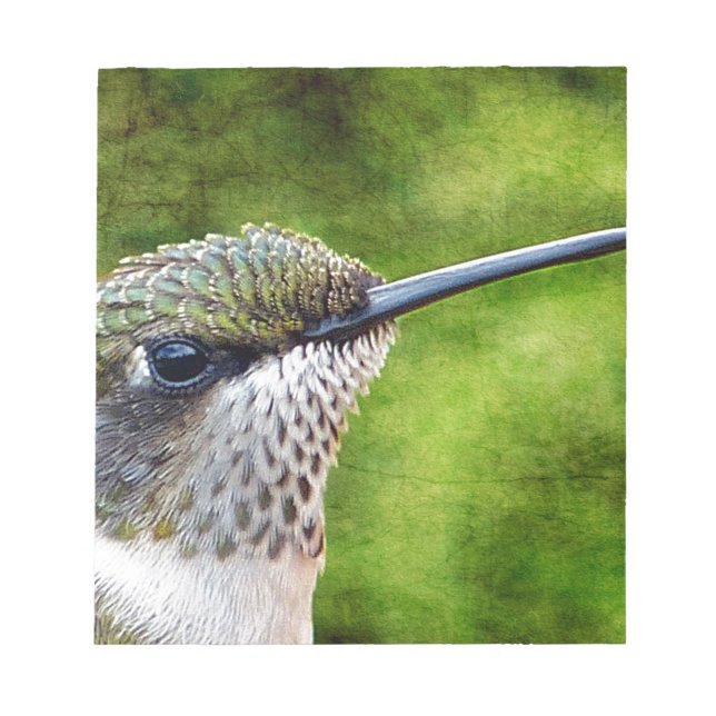Little Hummer Notizblock (Vorderseite)