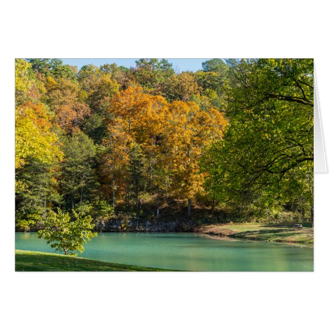 Little Indian Goldie (Vorderseite (Horizontal))