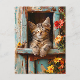 Little Kitten Sleeping in Garden Shed with Bloomin Postkarte
