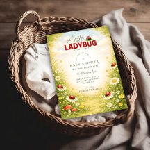 Little Ladybug Meadow Celebration Baby Shower