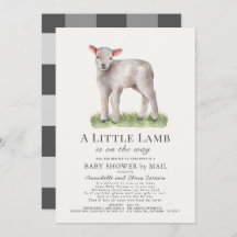 Little Lamb Baby Dusche by Mail