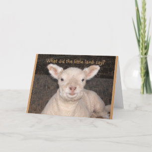 Little Lamb Birthday Card Karte