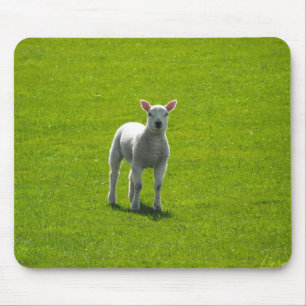 Little Lamb Mousepad