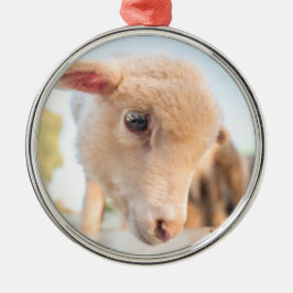 Little Lamb Ornament Aus Metall