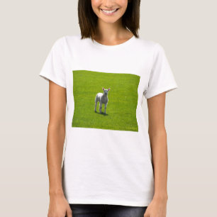 Little Lamb T-Shirt