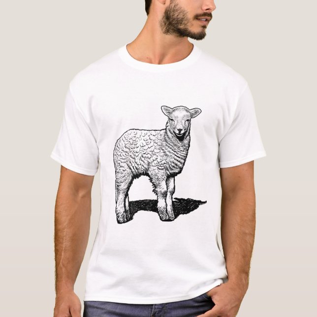 Little Lamb T - Shirt (Vorderseite)