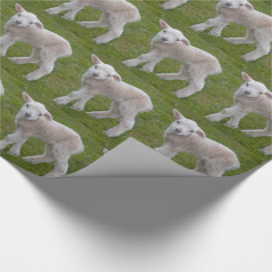 Little Lamb Wrapping Paper Geschenkpapier