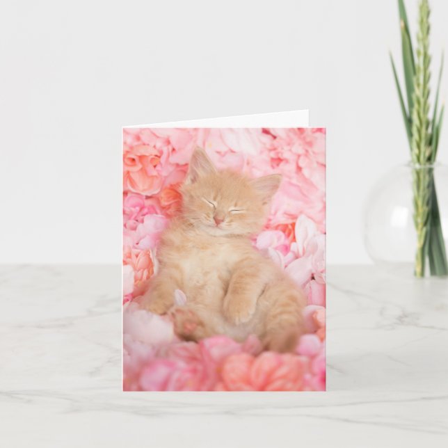 Little Linus Pink Blank Notecard Karte (Vorderseite)
