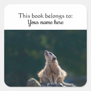 Little Meerkat "This book gehört to" Aufkleber