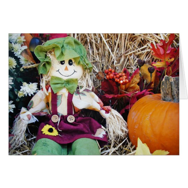 Little Miss Scarecrow (Vorderseite (Horizontal))