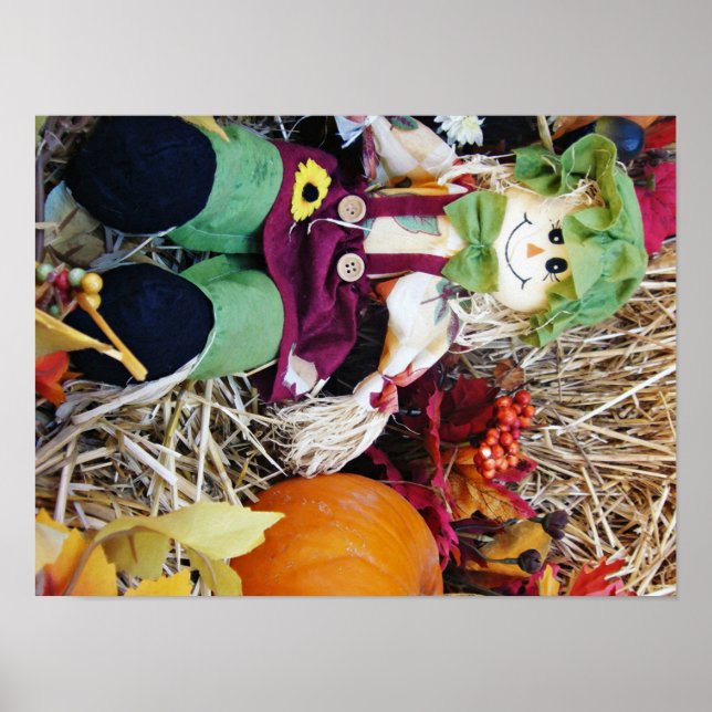 Little Miss Scarecrow Poster (Vorne)