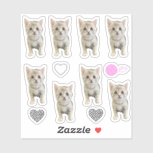 Little Miss Winter - Katze / Kätzchen Aufkleber