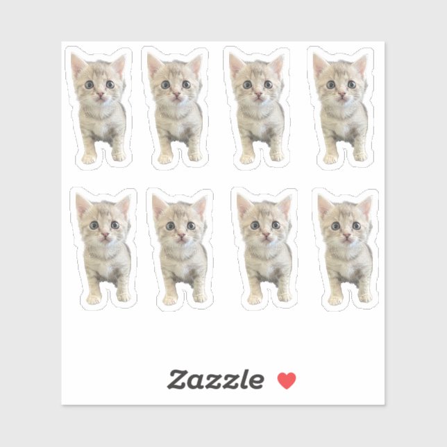 Little Miss Winter - Katze / Kätzchen Aufkleber (Blatt)